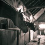pensionstallingsovereenkomst: tips & tricks