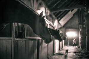 pensionstallingsovereenkomst: tips & tricks